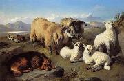 Sheep 191 unknow artist